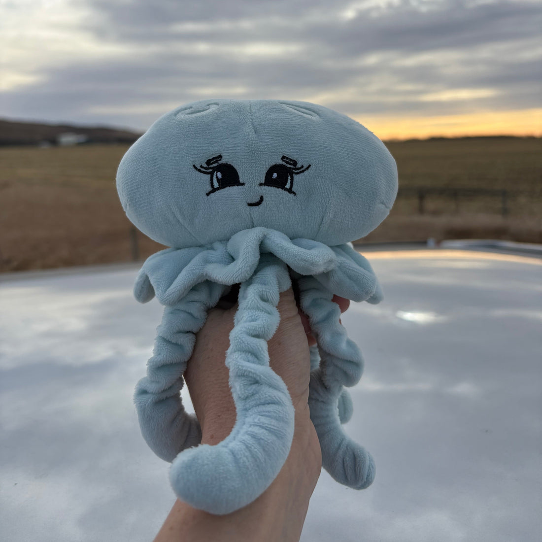 Nervous System Support: Discover the Benefits of Supportive Little Buddies for Nervous System Care