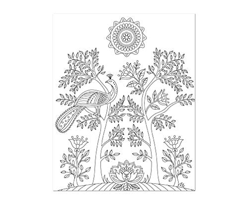 Coloring Book | Large Print Easy Color & Frame | In The Garden | Stress Free | Adult Coloring Book | Kids Coloring Book