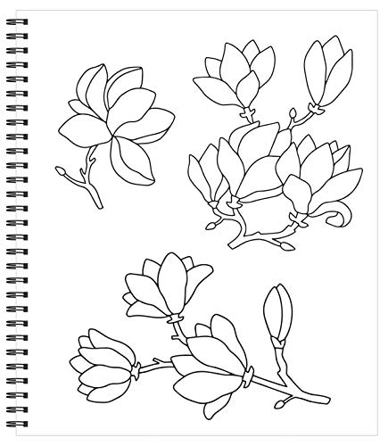 Coloring Book | Large Print Easy Color & Frame | Calm | Adult Coloring Book | Kids Coloring Book