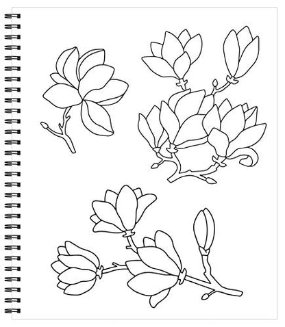 Coloring Book | Large Print Easy Color & Frame | Calm | Adult Coloring Book | Kids Coloring Book