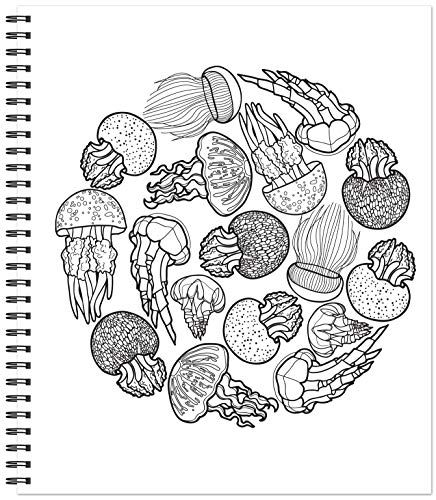 Coloring Book | Colour & Frame | Ocean Treasures | Adult Coloring Book | Kids Coloring Book