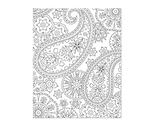 Coloring Book | Large Print Easy Color & Frame | In The Garden | Stress Free | Adult Coloring Book | Kids Coloring Book