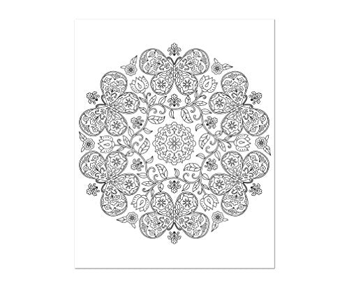 Coloring Book | Large Print Easy Color & Frame | In The Garden | Stress Free | Adult Coloring Book | Kids Coloring Book