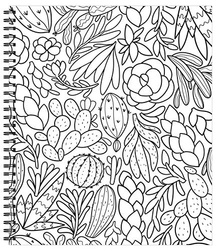 Coloring Book | Large Print Easy Color & Frame | Stress Free | Adult Coloring Book | Kids Coloring Book