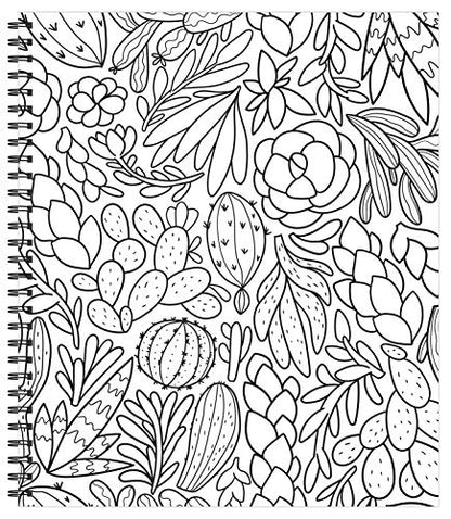 Coloring Book | Large Print Easy Color & Frame | Stress Free | Adult Coloring Book | Kids Coloring Book