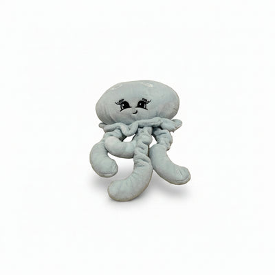 Moon jellyfish supportive little buddy on white back ground
