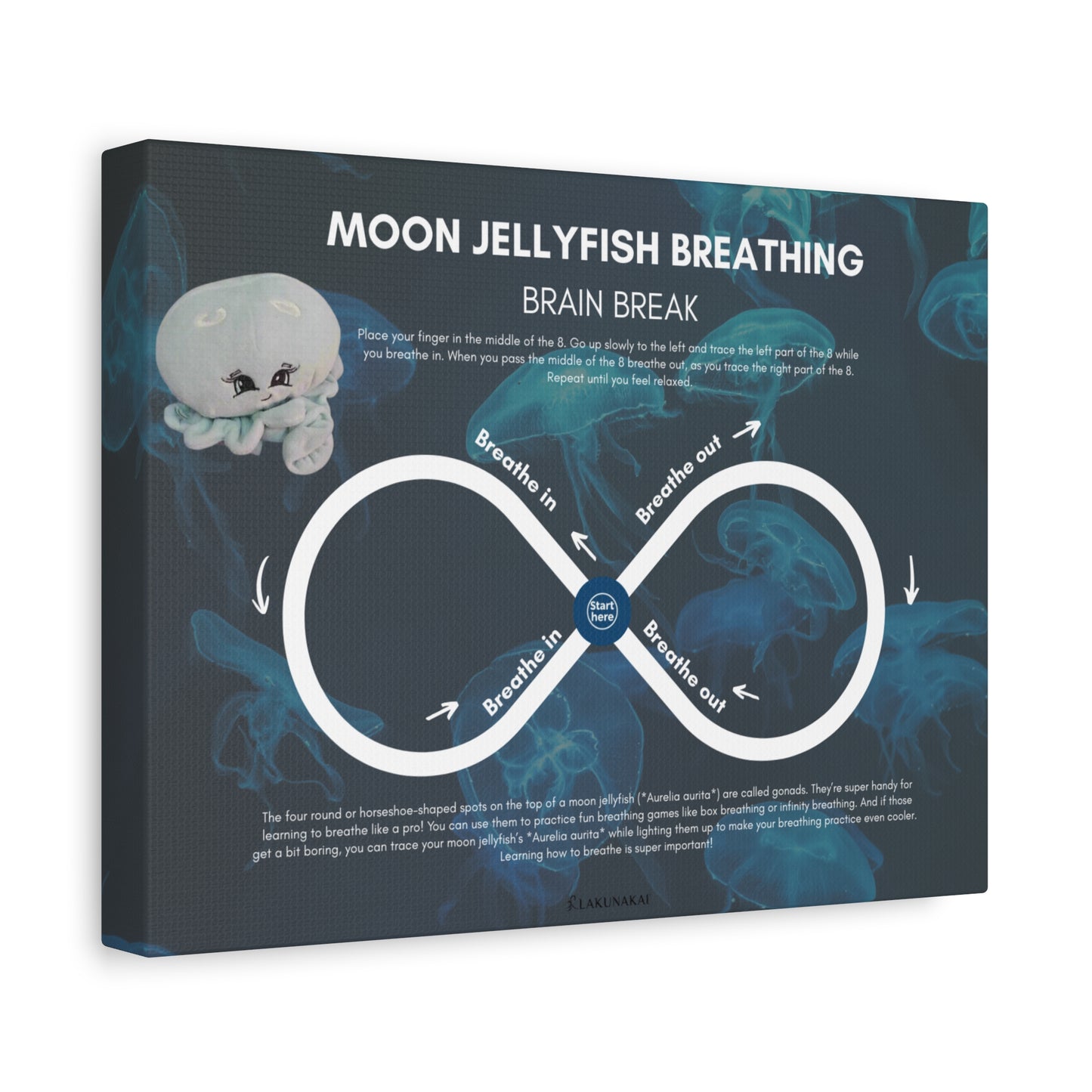 Moon Jellyfish Guided Breathing Canvas | Nature