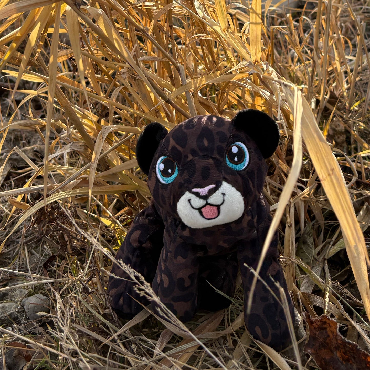 black leopard in tall grass